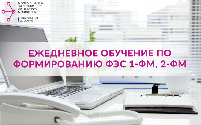 Ежедневное обучение по формированию ФЭС 1-ФМ, 2-ФМ